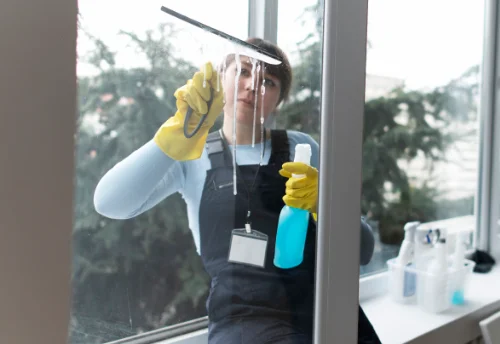 Nettoyage de vitres intérieures et extérieures à Paizay-le-Sec